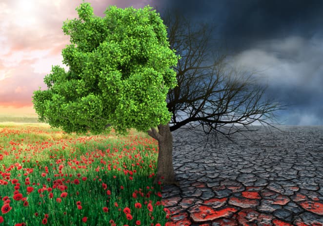 fondo DWS INVEST ESG CLIMATE TECH